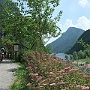 TransAlp 2012 :  Mittag bei Sonne und schönster Landschaft am Lago del Mis<br />                                                                                                                                                                                                                                            Tag 5 75km 1100hm